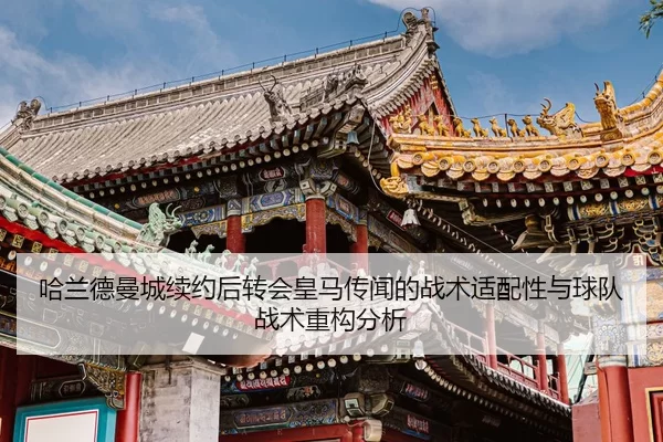 ha-lan-de-man-cheng-xu-yue-hou-zhuan-hui-huang-ma-chuan-wen-de-zhan-shu-shi-pei-xing-yu-qiu-dui-zhan-shu-zhong-gou-fen-2-697.jpg